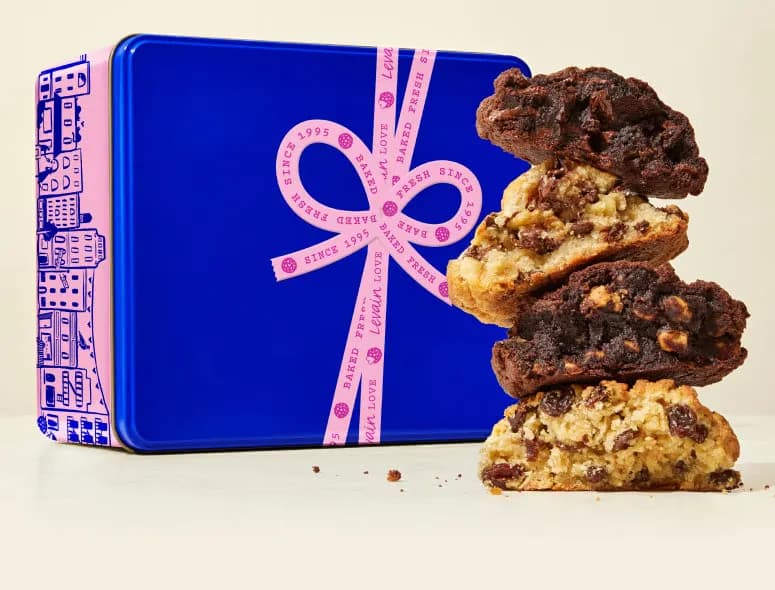 Chocolate Chip Walnut