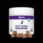 PET NMN Longevity Chews for Dogs